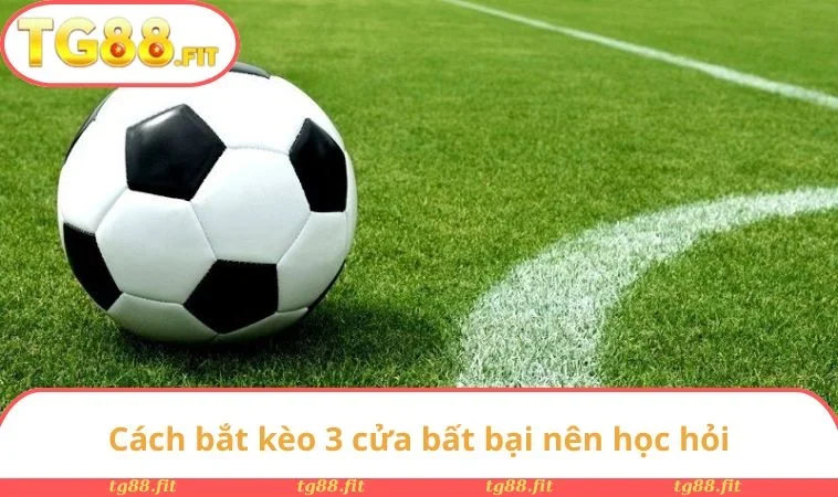 Cách bắt kèo 3 cửa bất bại nên học hỏi