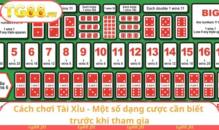 Cách chơi Tài Xỉu - Một số dạng cược cần biết trước khi tham gia