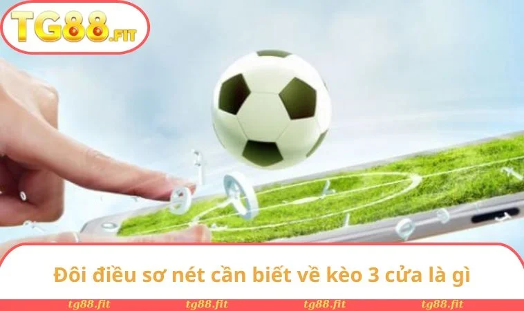 Đôi điều sơ nét cần biết về kèo 3 cửa là gì