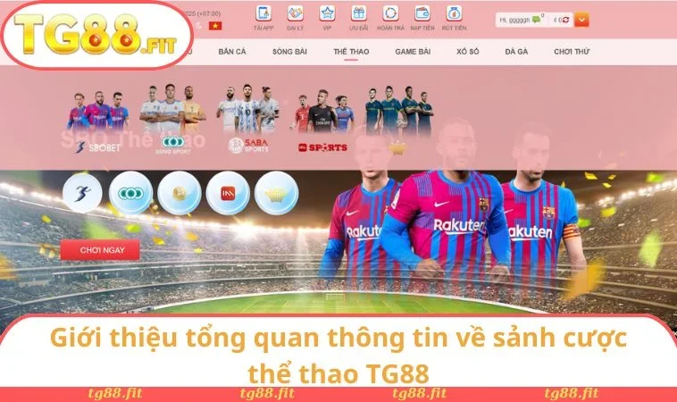 Giới thiệu tổng quan thông tin về sảnh cược thể thao TG88