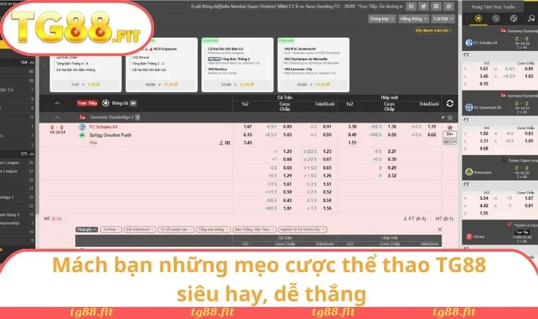 Mách bạn những mẹo cược thể thao TG88 siêu hay, dễ thắng