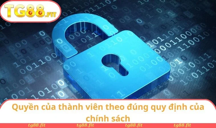 Quyền của thành viên theo đúng quy định của chính sách