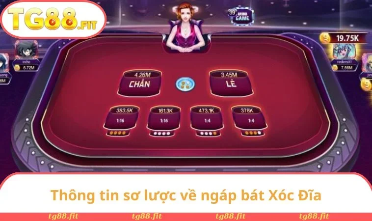 Thông tin sơ lược về ngáp bát Xóc Đĩa