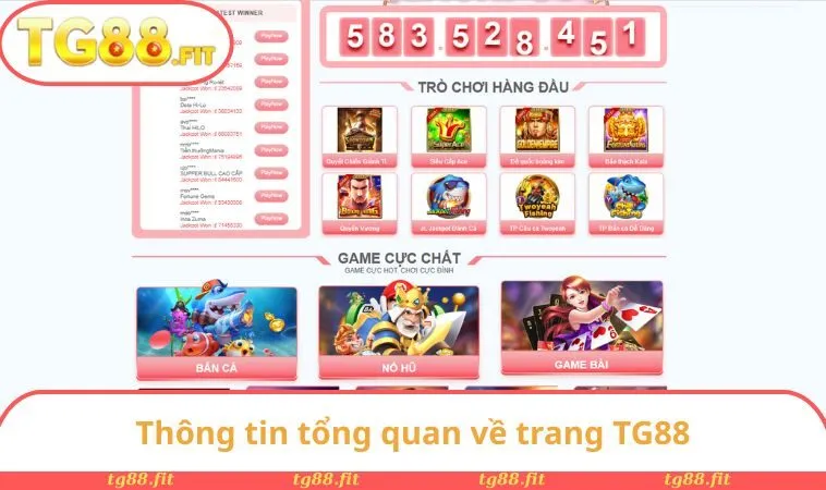 Thông tin tổng quan về trang TG88