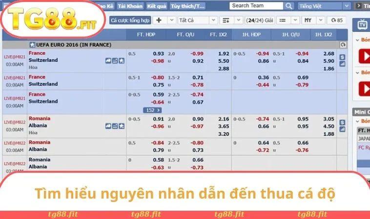 Tìm hiểu nguyên nhân dẫn đến thua cá độ
