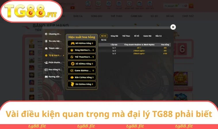 Vài điều kiện quan trọng mà đại lý TG88 phải biết